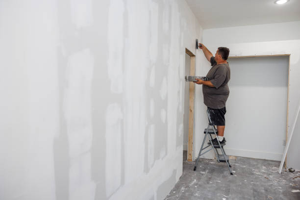 Best Mold Odor Removal Services  in Elko, NV